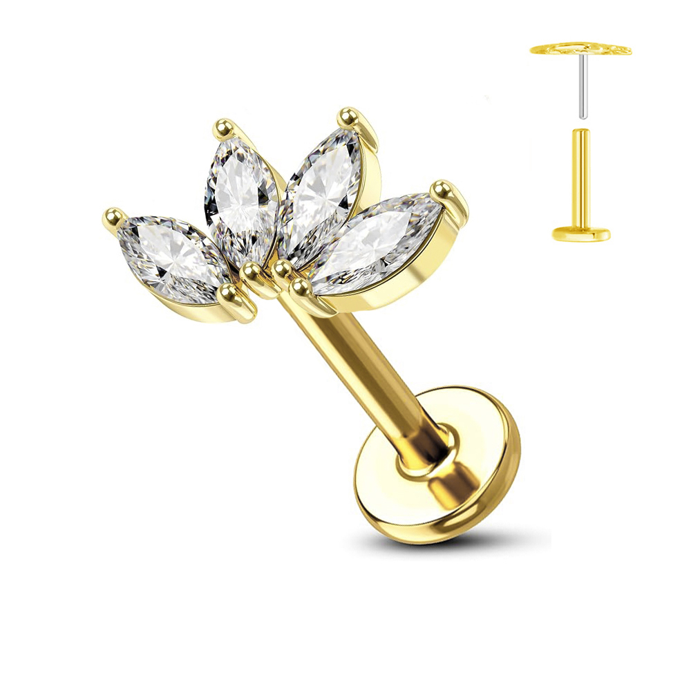 ASTM F136 G23 pendiente sin ro - Zoor Body Jewelry reseña y precio